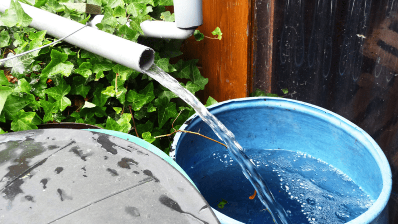 homesteader greywater systems