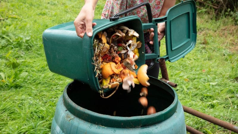 A woman learning how to compost dumps organic scraps into a compost bin.