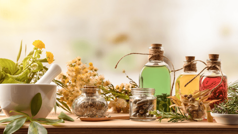 grow medicinal herbs
