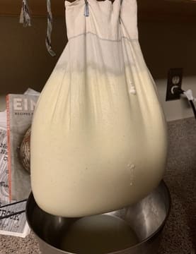homemade yogurt, jersey milking cows yogurt