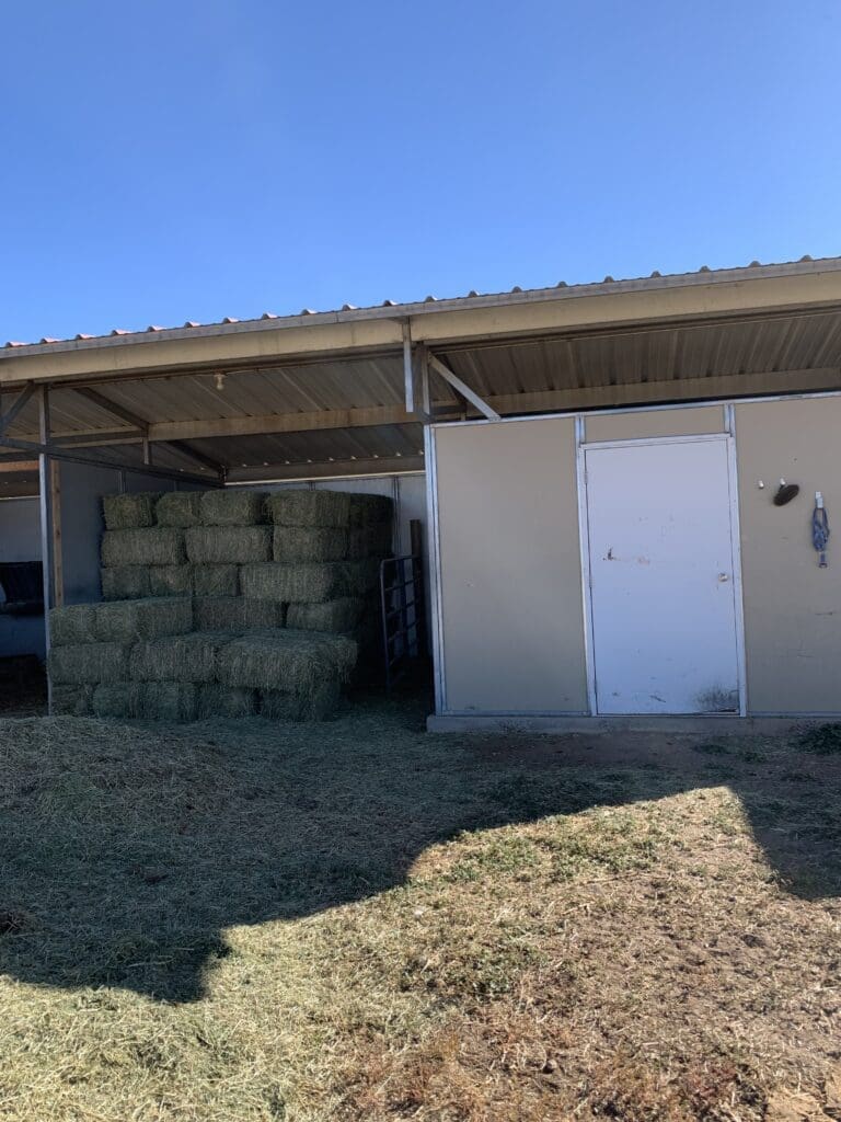 jersey cow shelter