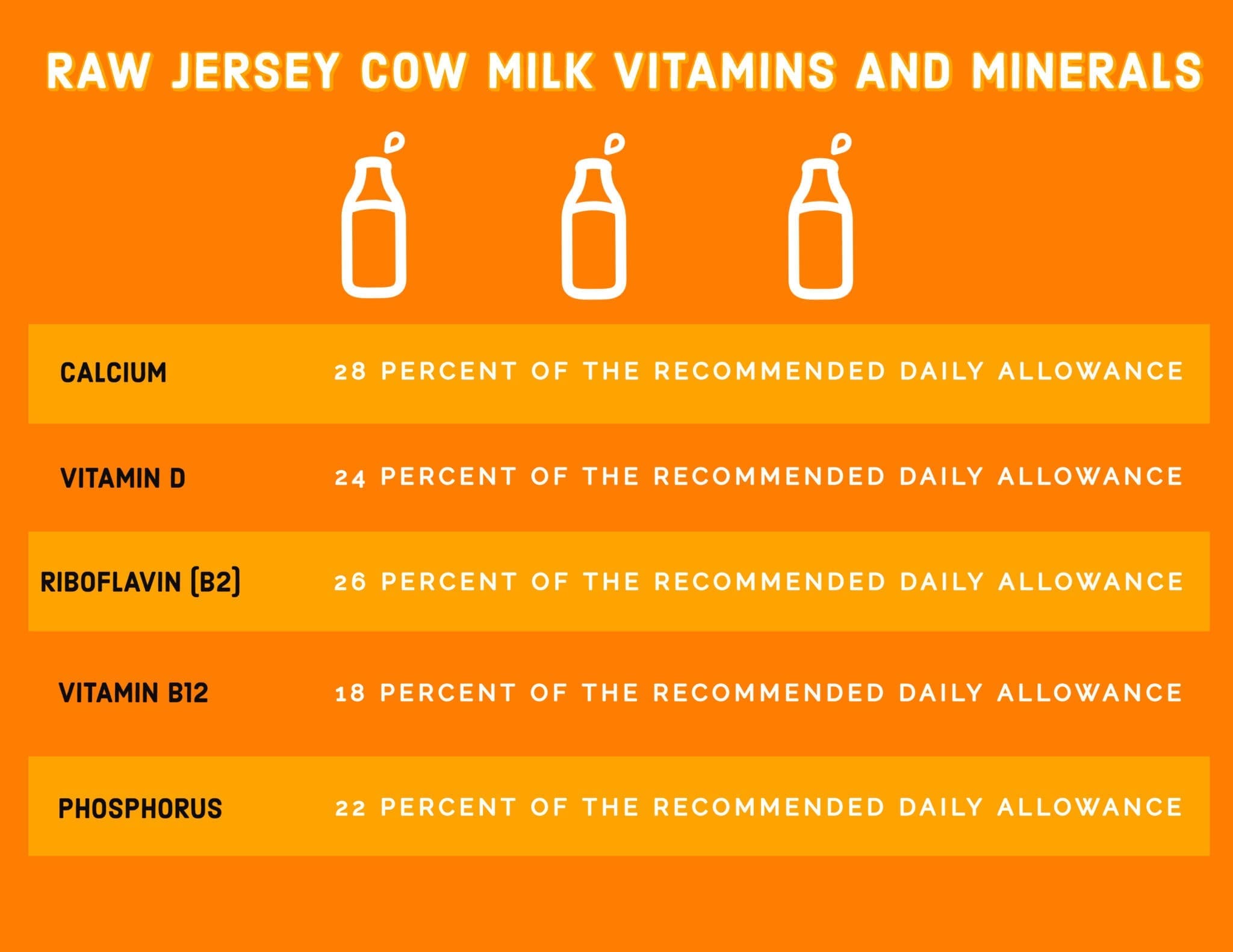 My Journey with Raw Jersey Cow Milk Jersey Milk Cow