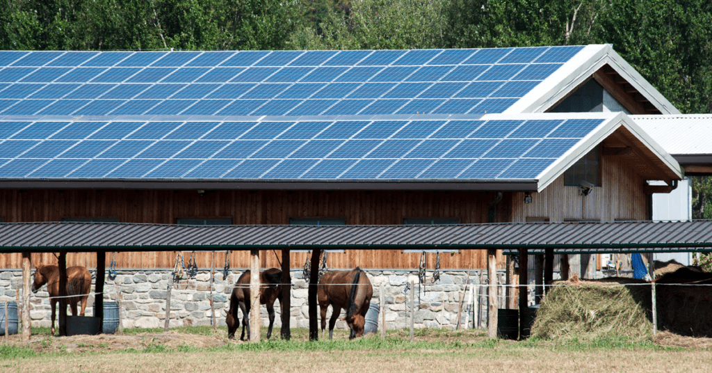homesteader solar