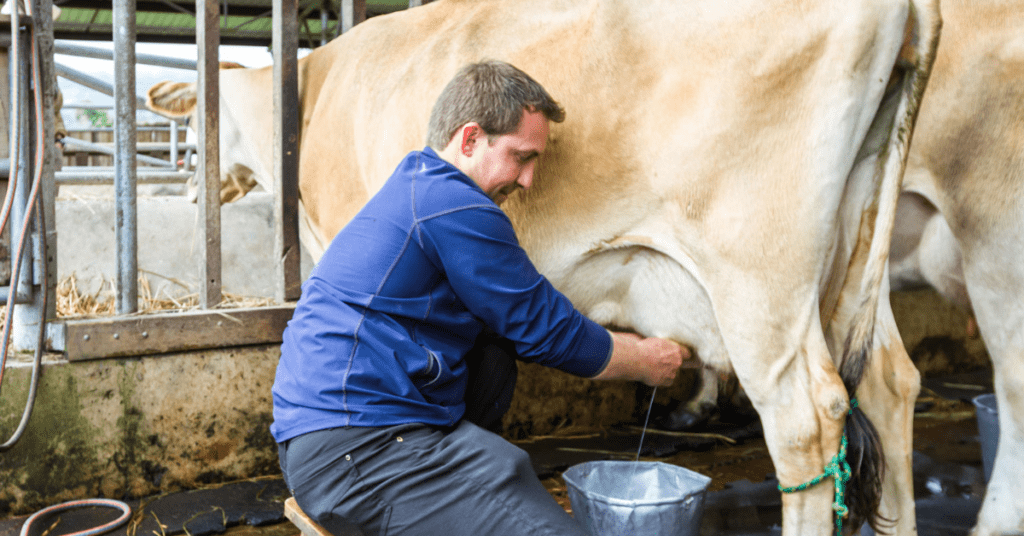 best milking machines beat milking by hand
