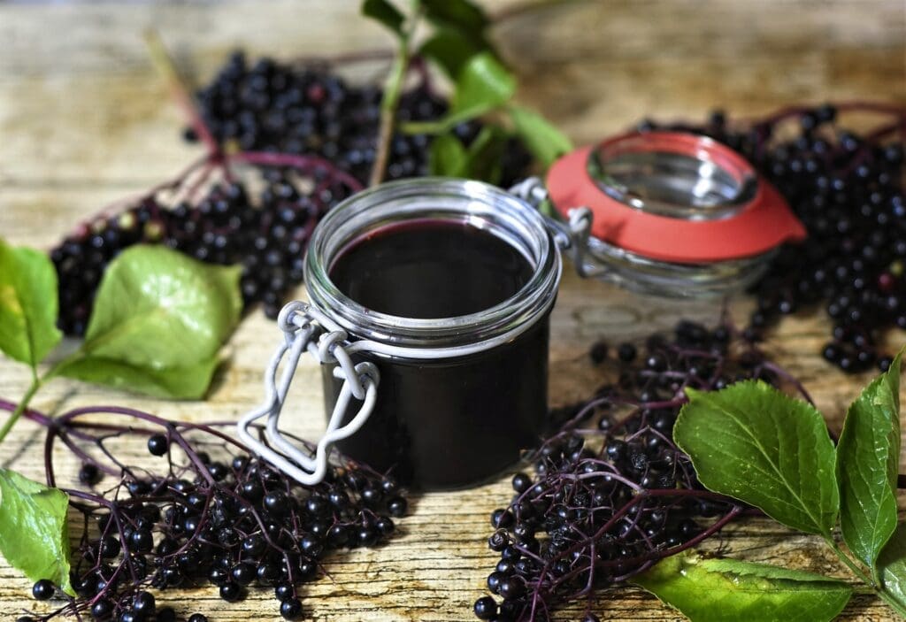 elderberry syrup recipe canned