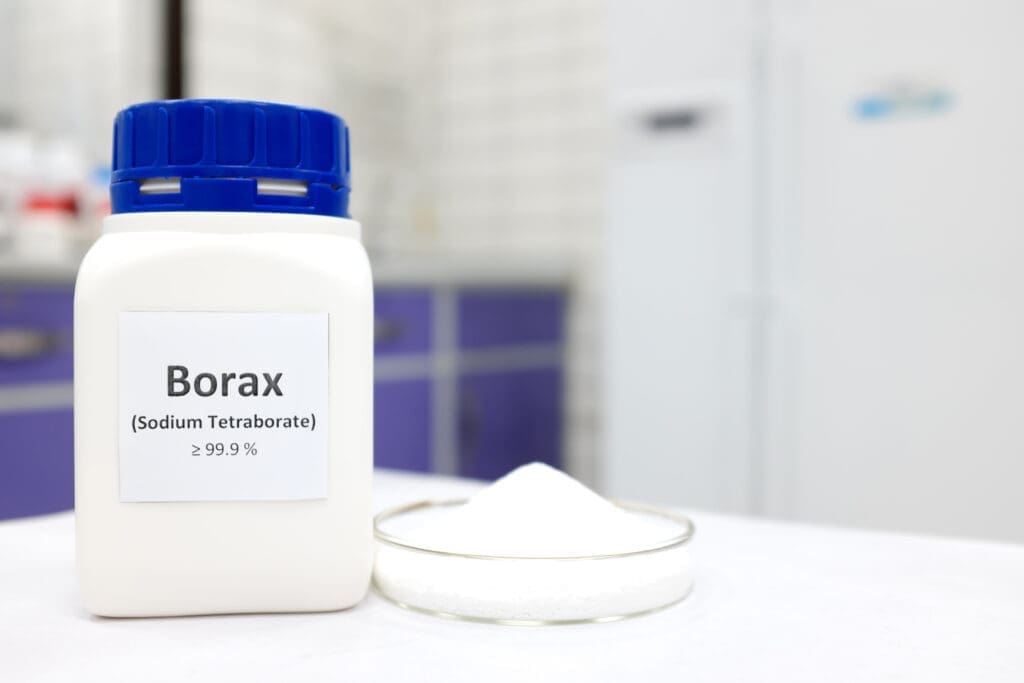 Borax to kill ants is pictured in a bottle that says Borax (Sodium Tetraborate) im a pharmacy 