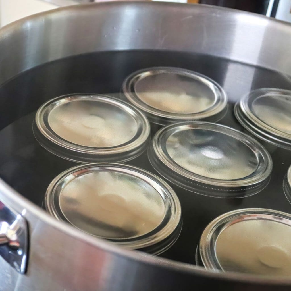A pot full of canning lids being boiled for sanitation. 