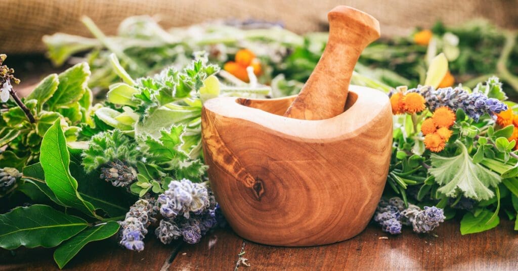 A mortar and pestle is surrounded by various medicinal herbs on a table. 